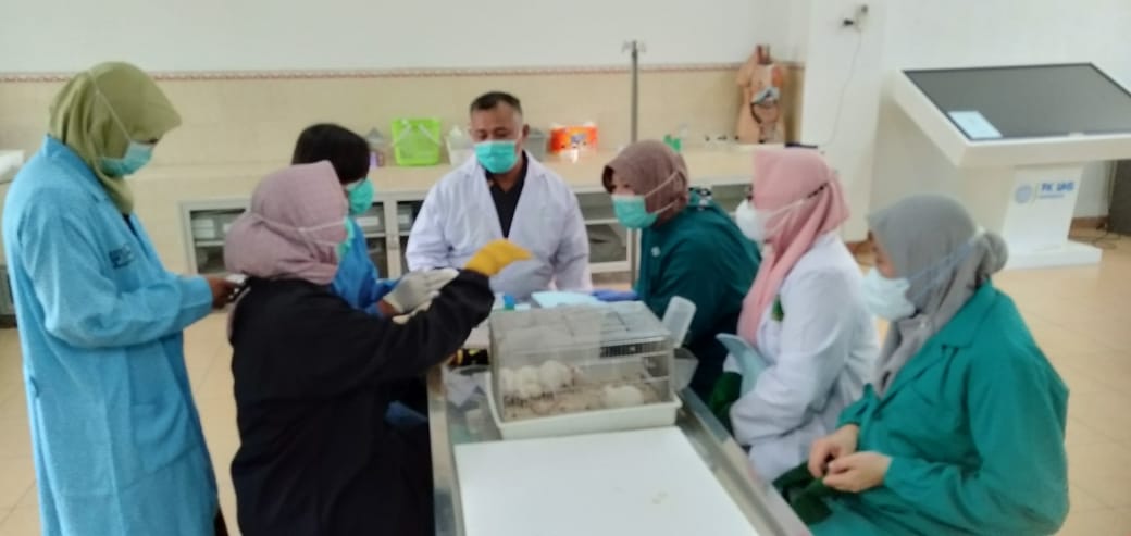 Praktikum Prinsip dasar penggunaan hewan laboratorium dalam penelitian biomedis