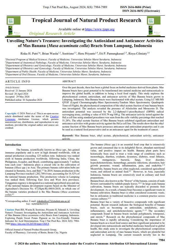 Unveiling Nature's Treasure: Investigating the Antioxidant and Anticancer Activities of Mas Banana (Musa acuminata colla) Bracts from Lampung, Indonesia