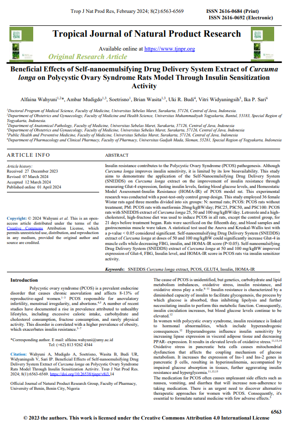 Beneficial Effects of Self-nanoemulsifying Drug Delivery System Extract of Curcuma longa on Polycystic Ovary Syndrome Rats Model Through Insulin Sensitization Activity