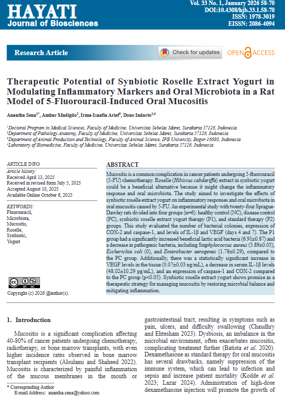 Therapeutic Potential of Synbiotic Roselle Extract Yogurt in Modulating Inflammatory Markers and Oral Microbiota in a Rat Model of 5-Fluorouracil-Induced Oral Mucositis