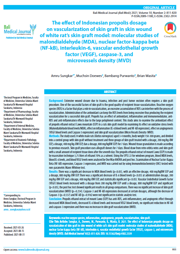 The effect of Indonesian propolis dosage on vascularization of skin graft in skin wound of white rat’s skin graft model: molecular studies of malondialdehyde (MDA), nuclear factor-kappa beta (NF-kB), interleukin-6, vascular endothelial growth factor (VEGF), caspase-3, and microvessels density (MVD)